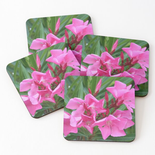 Item preview, Pink Oleander Natures Summer Bouquet designed and sold by taiche.