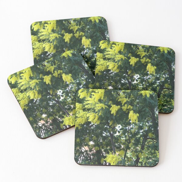 Item preview, Mimosa flowers tree Saint-Tropez, Bormes les Momosas BIPHOTO designed and sold by BIPHOTONEWS.