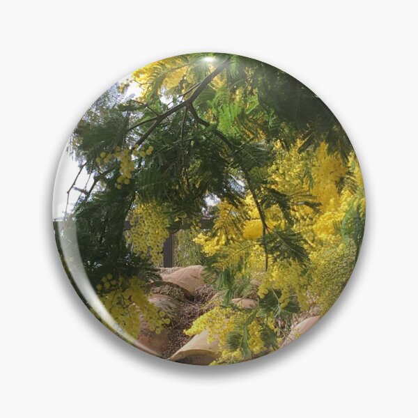 Item preview, Mimosa flowers provence France BIPHOTO #ilonabarnabiphotonews designed and sold by BIPHOTONEWS.