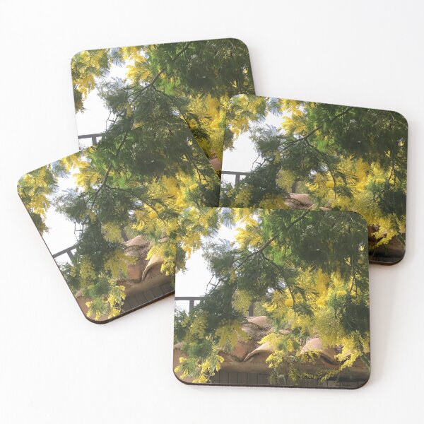 Item preview, Mimosa flowers provence France BIPHOTO #ilonabarnabiphotonews designed and sold by BIPHOTONEWS.