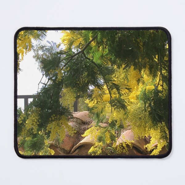 Item preview, Mimosa flowers provence France BIPHOTO #ilonabarnabiphotonews designed and sold by BIPHOTONEWS.