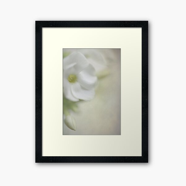 Floral White Framed Art Print