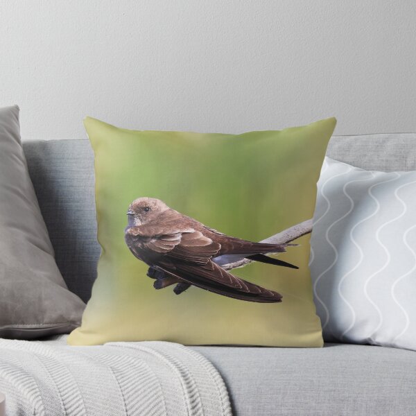 Item preview, Brown-Throated Martin designed and sold by Chantelle Benade.