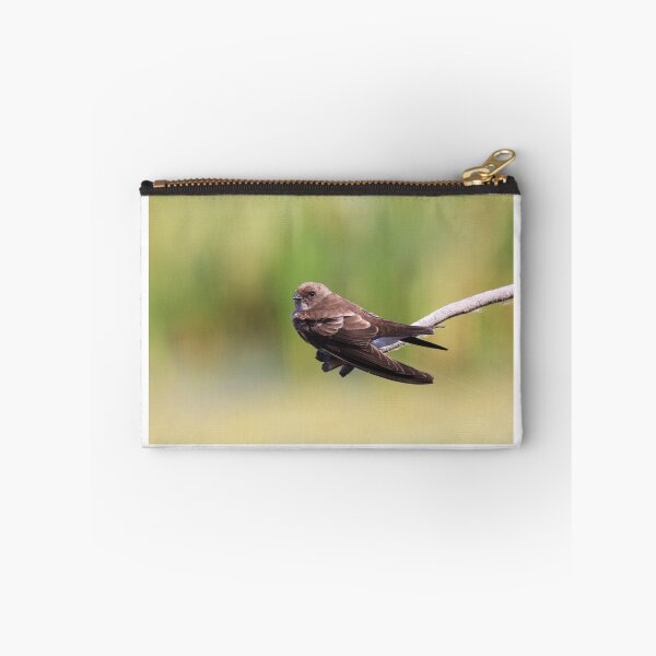 Item preview, Brown-Throated Martin designed and sold by Chantelle Benade.