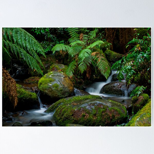 Item preview, Cement Creek Yarra Ranges designed and sold by Tony Lin.