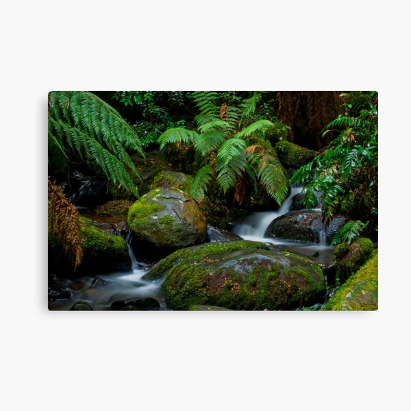 Item preview, Cement Creek Yarra Ranges designed and sold by Tony Lin.