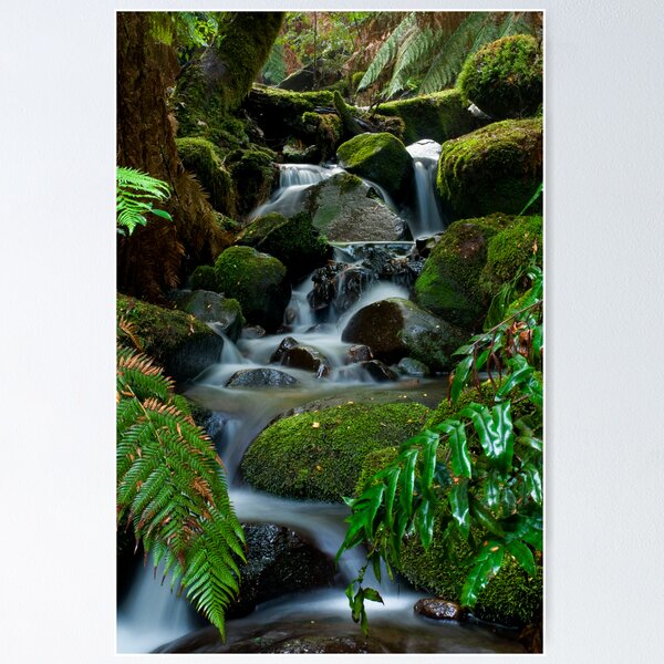 Item preview, Cement Creek Yarra Ranges designed and sold by Tony Lin.