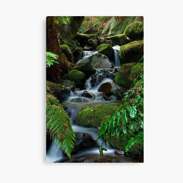 Item preview, Cement Creek Yarra Ranges designed and sold by Tony Lin.
