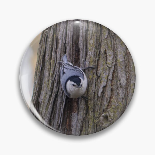 Item preview, White-Breasted Nuthatch designed and sold by KJWild.
