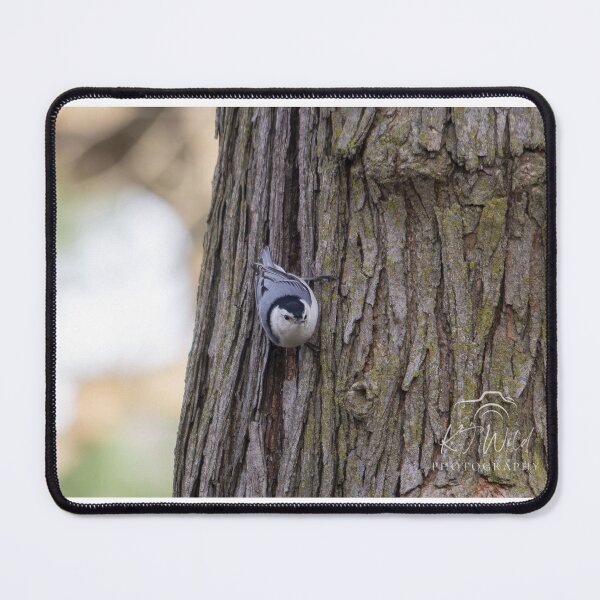 Item preview, White-Breasted Nuthatch designed and sold by KJWild.