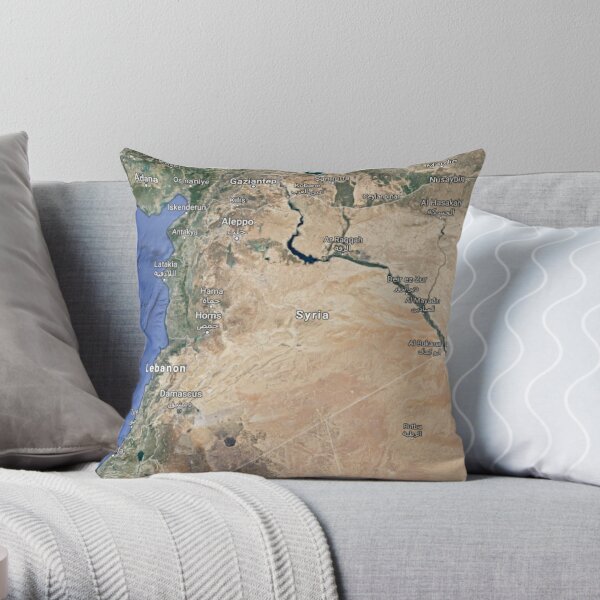 Mission Accomplished - Syria, سوريا Throw Pillow