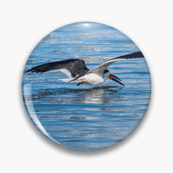 Item preview, Black Skimmer designed and sold by Debra Martz.