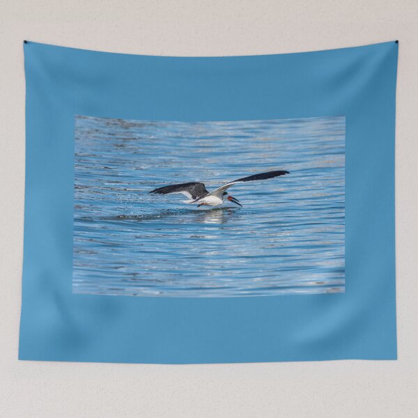 Item preview, Black Skimmer designed and sold by Debra Martz.