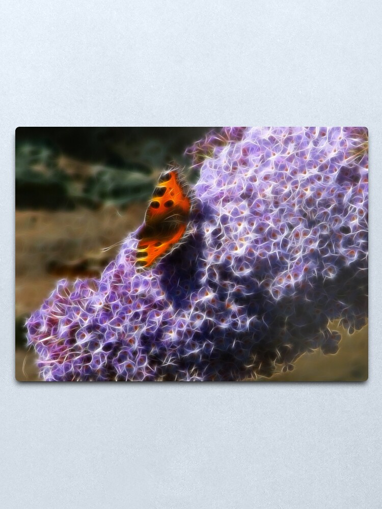 Alternate view of Butterfly and Buddlia Metal Print