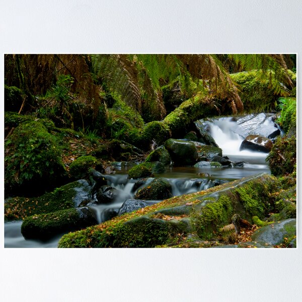 Item preview, Cement Creek Yarra Ranges designed and sold by Tony Lin.