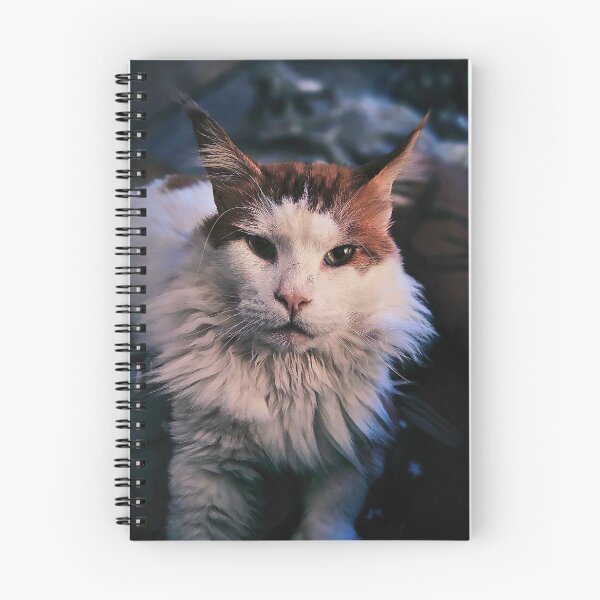 Item preview, White Red Maine Coon Cat designed and sold by Light79.