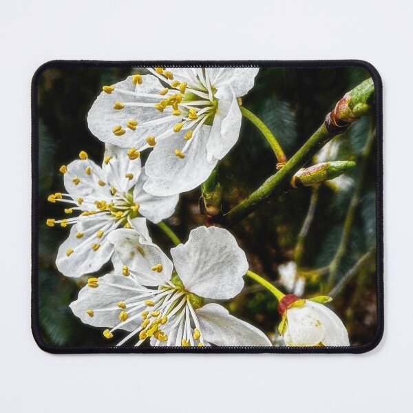 Item preview, March Madness designed and sold by Steve Walser.
