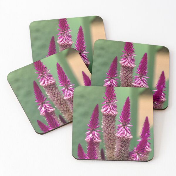 Item preview, cat's tail. designed and sold by Nino rocha fotografia.