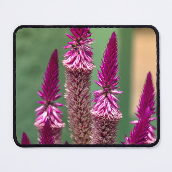 Item preview, cat's tail. designed and sold by Nino rocha fotografia.