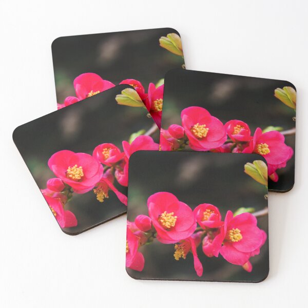 Item preview, Quince Blossom designed and sold by JEZ22.