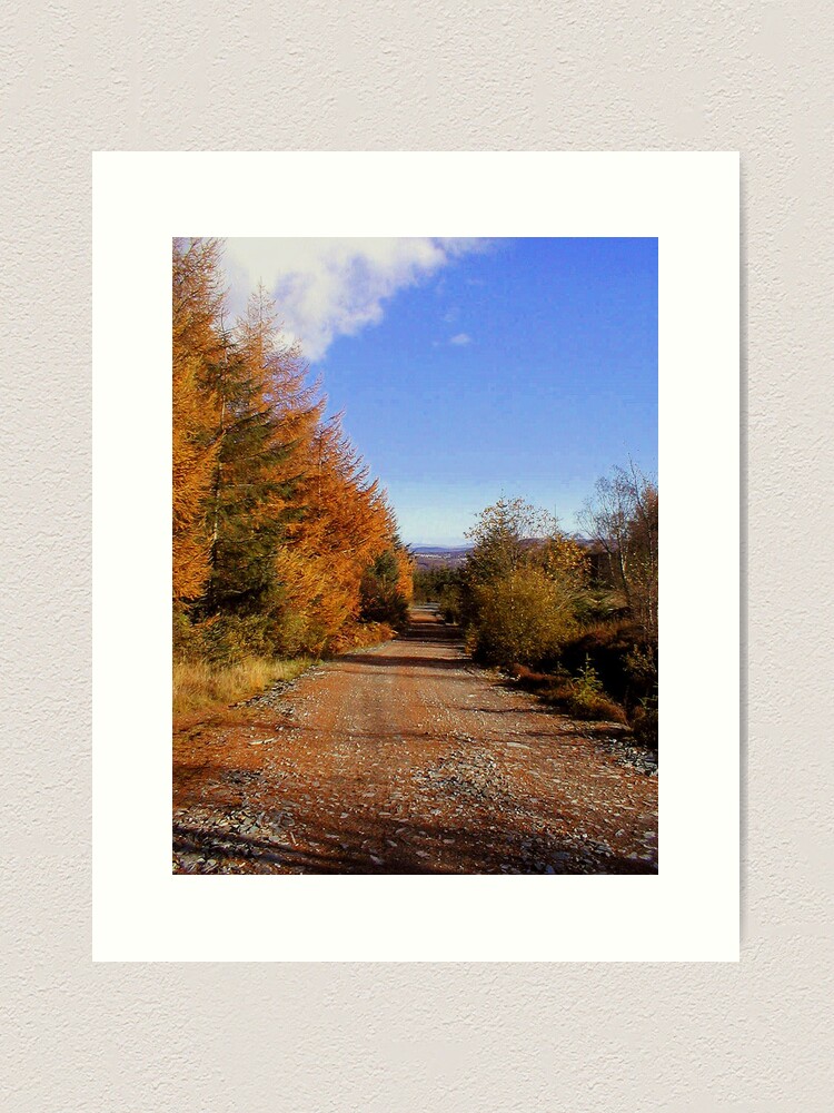 Alternate view of Walk with me Art Print