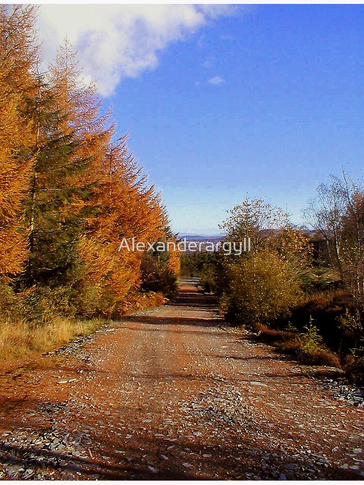 Walk with me by Alexanderargyll