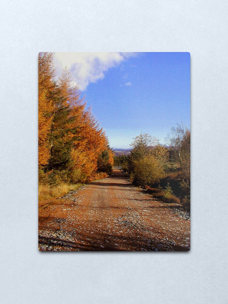 Alternate view of Walk with me Metal Print