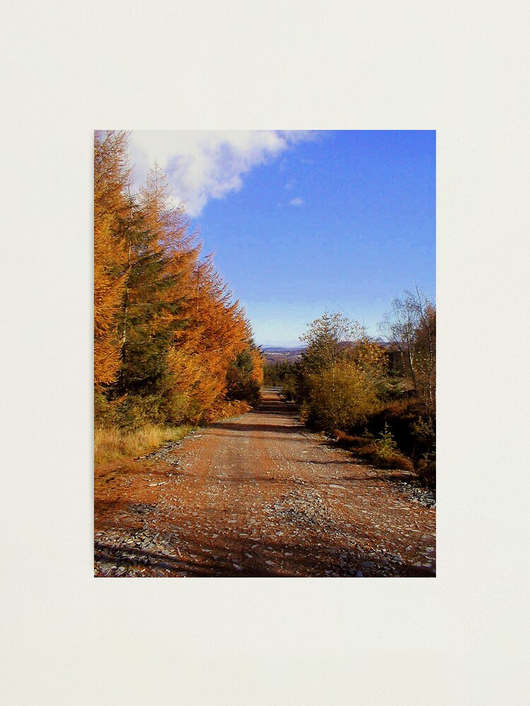 Alternate view of Walk with me Photographic Print
