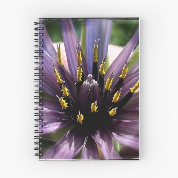 Item preview, Flower Fireworks designed and sold by Phoenix Artifex.