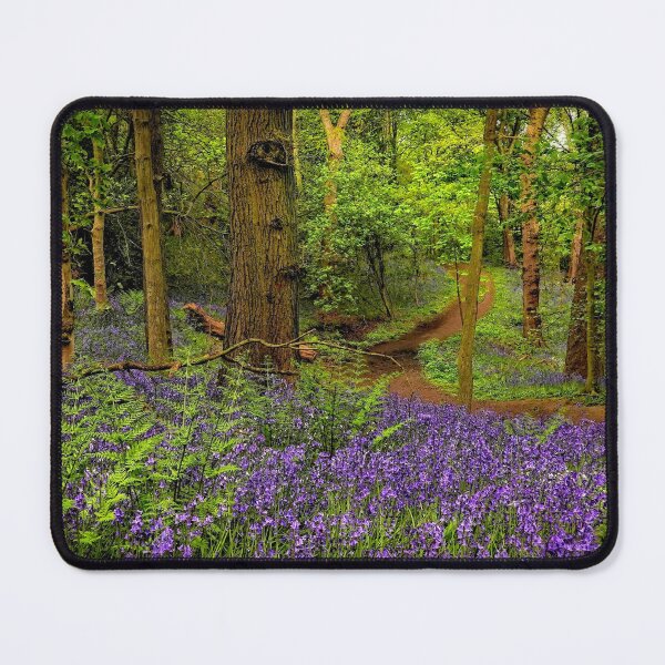 Item preview, In the Bluebell woods Durham designed and sold by RosRidleyPhoto.