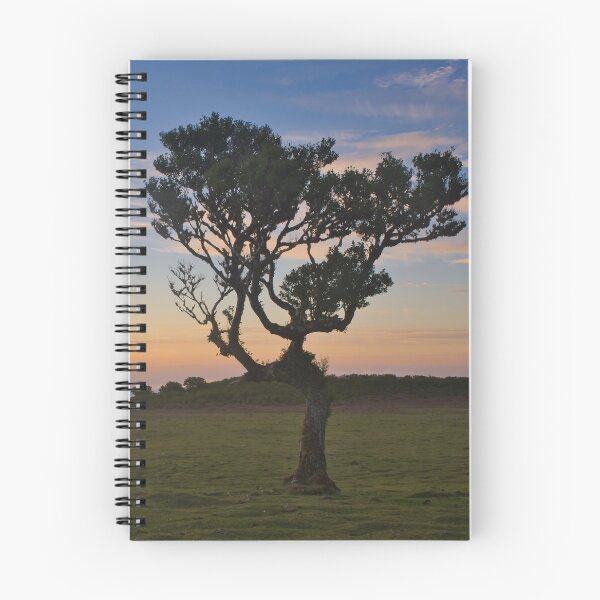 Item preview, Sunset at Fanal Forest designed and sold by NancyKHajjar.