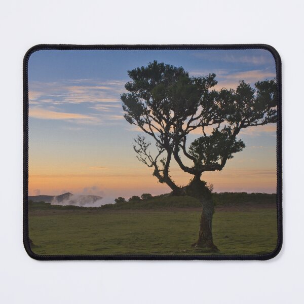 Item preview, Sunset at Fanal Forest designed and sold by NancyKHajjar.
