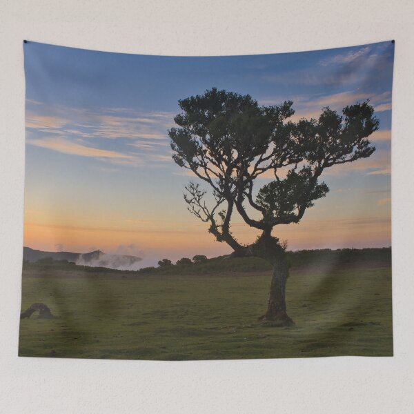 Item preview, Sunset at Fanal Forest designed and sold by NancyKHajjar.