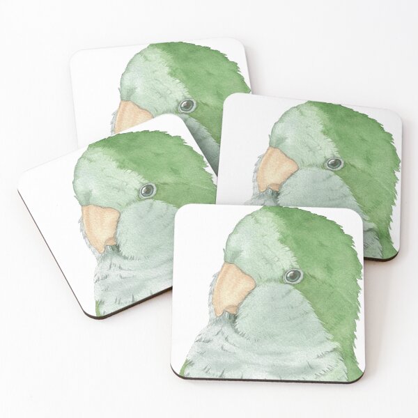 Item preview, Quaker watercolor bird portrait designed and sold by L'Atelier Oranjade.