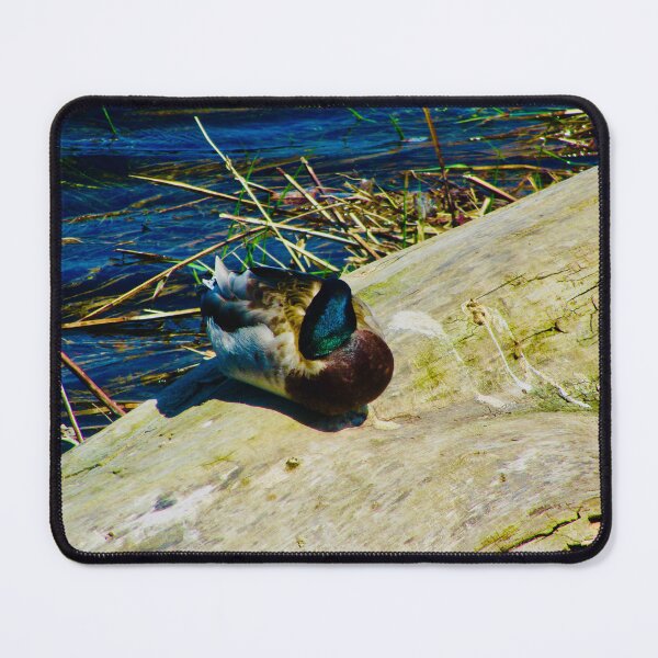 Item preview, Sleeping Mallard designed and sold by Shulie1.