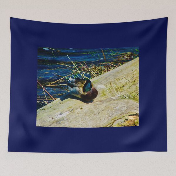 Item preview, Sleeping Mallard designed and sold by Shulie1.