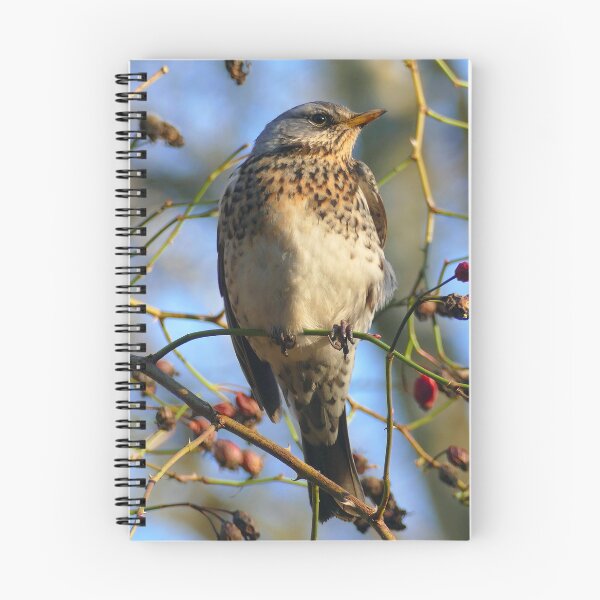 Item preview, Fieldfare designed and sold by Chris Petty.
