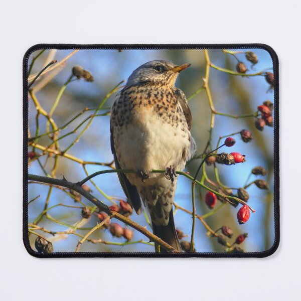 Item preview, Fieldfare designed and sold by Chris Petty.