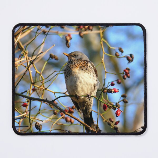 Item preview, Fieldfare designed and sold by Chris Petty.