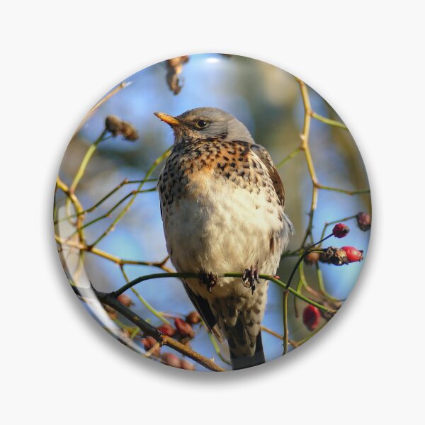 Item preview, Fieldfare designed and sold by Chris Petty.
