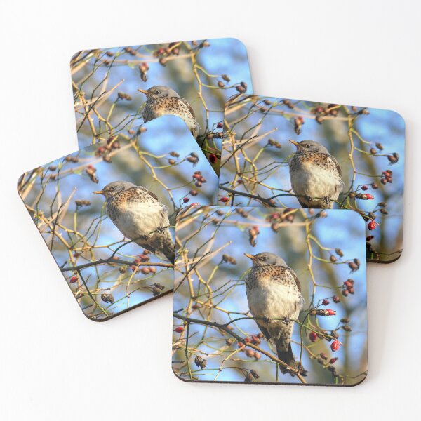 Item preview, Fieldfare designed and sold by Chris Petty.
