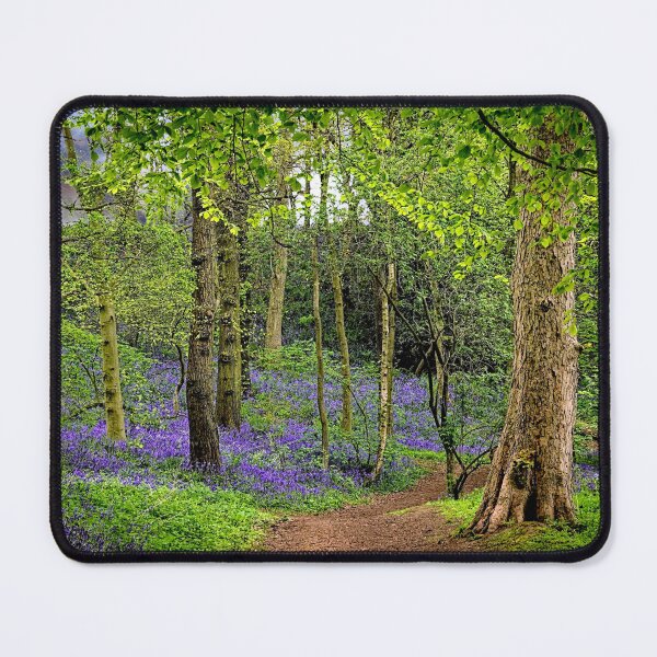 Item preview, Path through the bluebell wood Durham designed and sold by RosRidleyPhoto.
