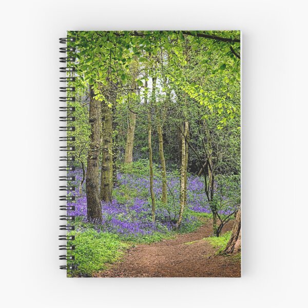 Artikelvorschau, Weg durch den Bluebell-Wald Durham entworfen und verkauft von RosRidleyPhoto.