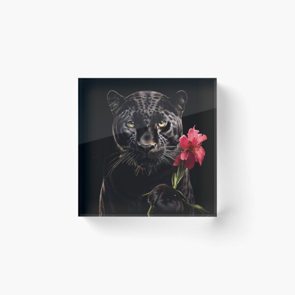 Item preview, Black Panter designed and sold by MrAroSz.