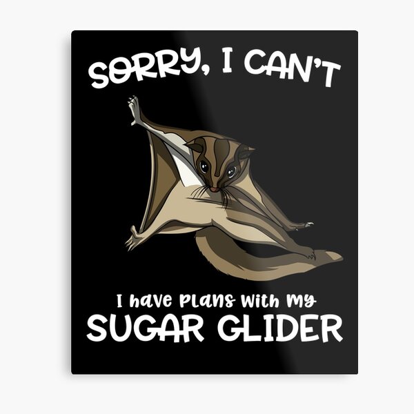Sorry I Can't I Have Plans With My Sugar Glider Metal Print