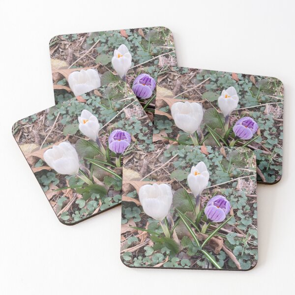 Item preview, Three Crocuses  designed and sold by Amanda1775.
