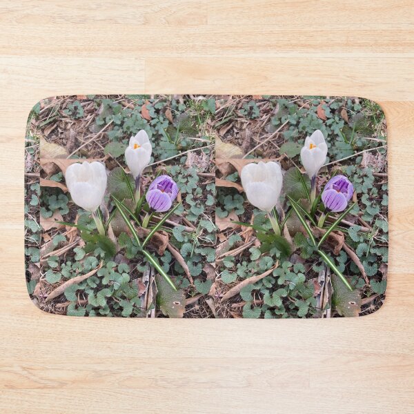 Item preview, Three Crocuses  designed and sold by Amanda1775.
