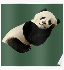 Panda Poster