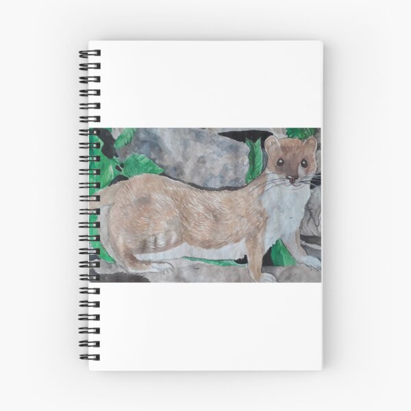 Item preview, Stoat designed and sold by TanyaSealeyArt.