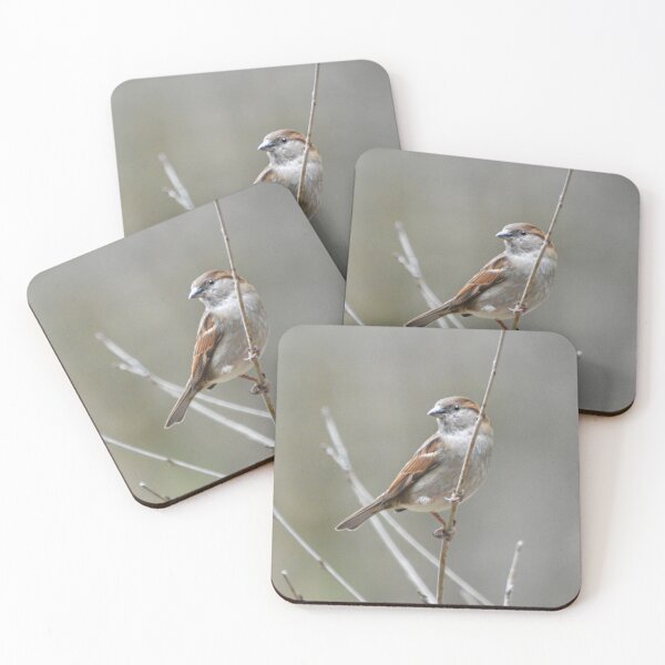 Item preview, Sparrow On Branch designed and sold by Laurie Minor.